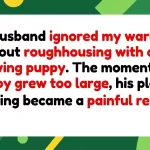 Husband Demands Wife Control Puppy After Play-Biting Backfires